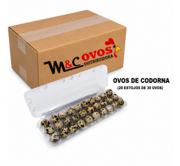 CAIXA OVOS CODORNA 